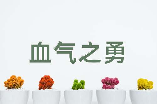 成语血气之勇