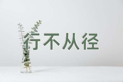 成语行不从径