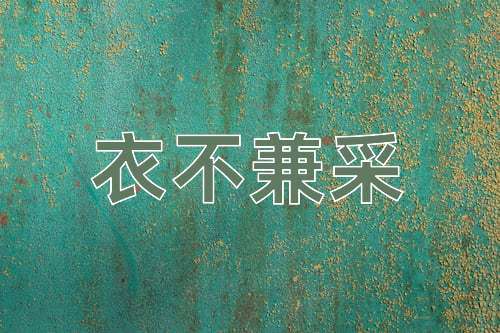 成语衣不兼采