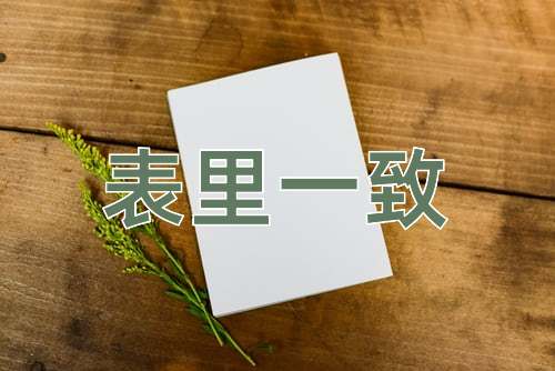 成语表里一致