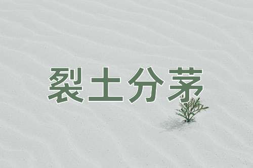 成语裂土分茅