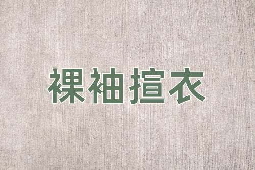 成语裸袖揎衣