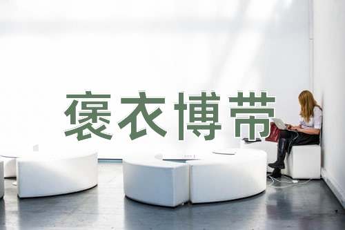 成语褒衣博带