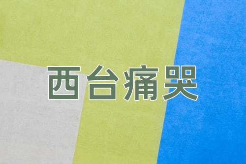 成语西台痛哭