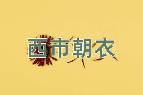 成语西市朝衣