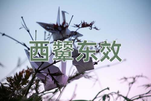 成语西颦东效