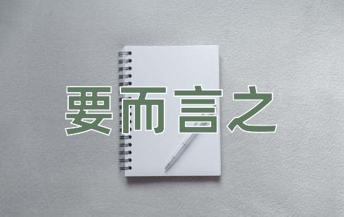 成语要而言之