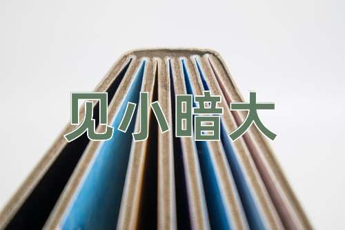 成语见小暗大