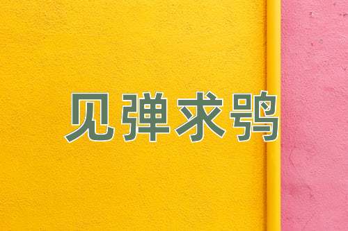 成语见弹求鸮