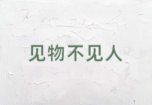 成语见物不见人