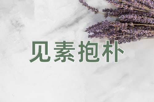 成语见素抱朴