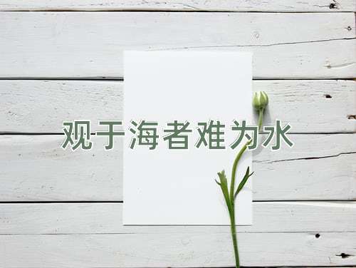 成语观于海者难为水