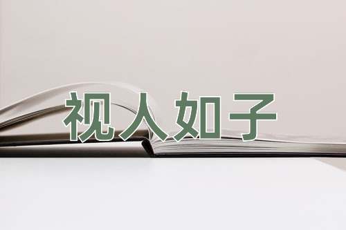 成语视人如子
