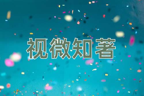 成语视微知著