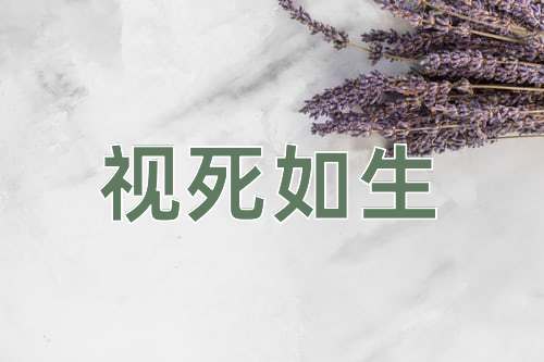 成语视死如生
