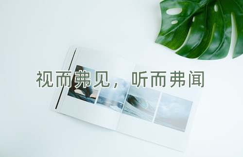 成语视而弗见，听而弗闻