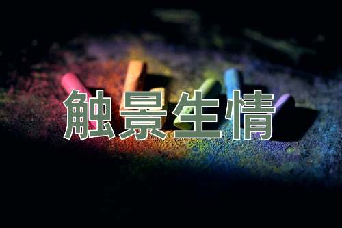 成语触景生情