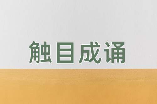 成语触目成诵