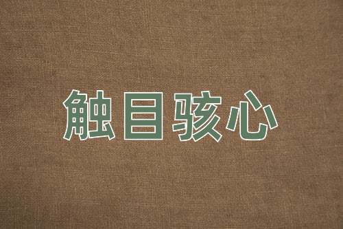 成语触目骇心