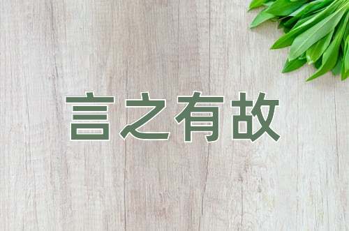 成语言之有故