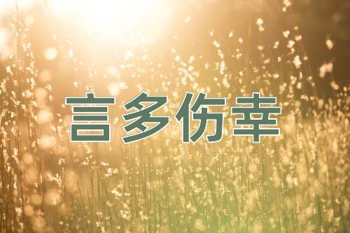 成语言多伤幸