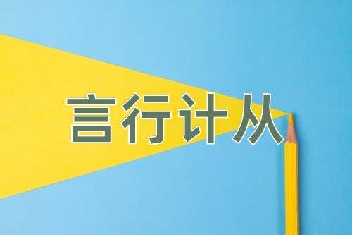 成语言行计从
