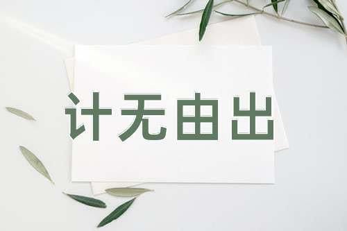 成语计无由出