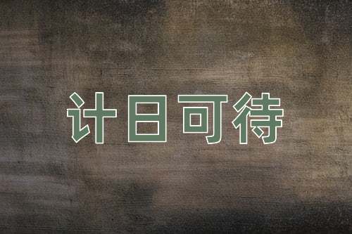 成语计日可待