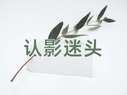 成语认影迷头
