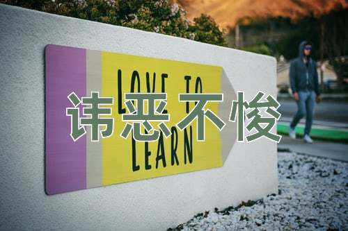 成语讳恶不悛