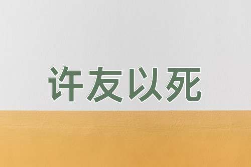 成语许友以死