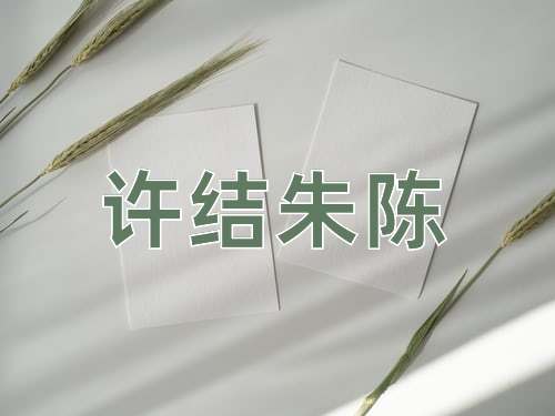 成语许结朱陈