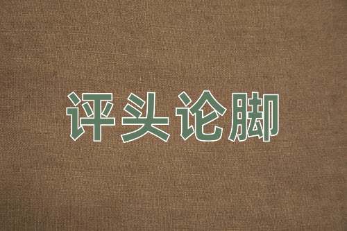 成语评头论脚