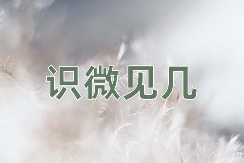 成语识微见几