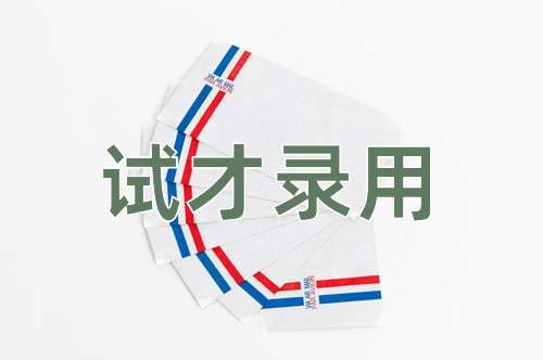成语试才录用