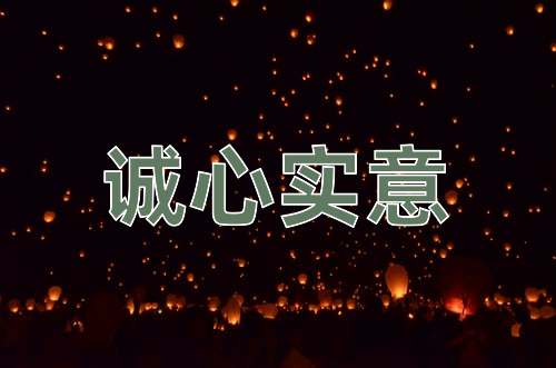 成语诚心实意
