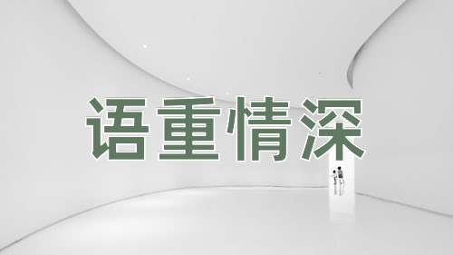 成语语重情深