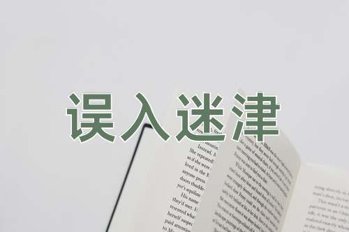 成语误入迷津