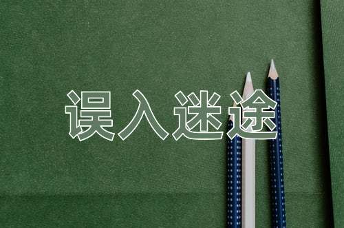 成语误入迷途