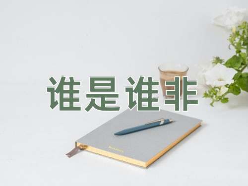 成语谁是谁非