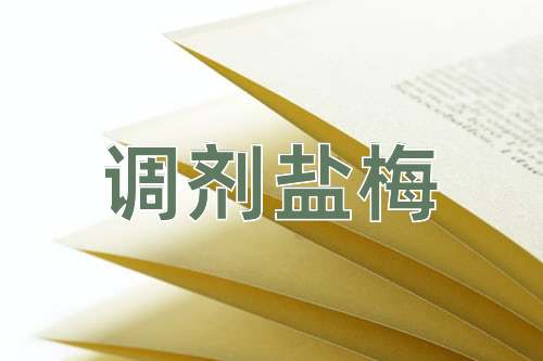 成语调剂盐梅