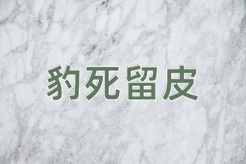 成语豹死留皮