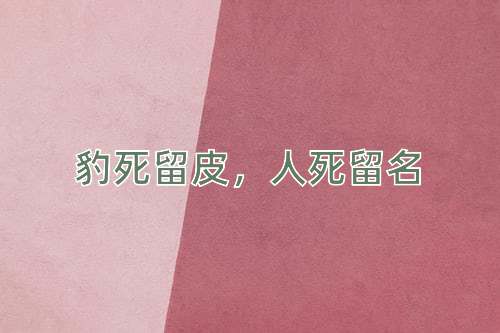 成语豹死留皮，人死留名