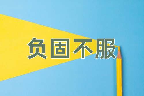成语负固不服