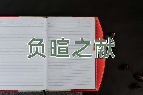 成语负暄之献