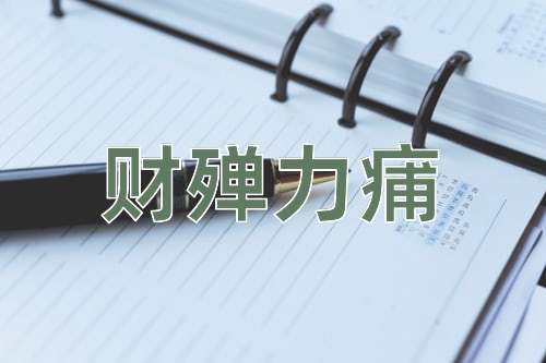 成语财殚力痡