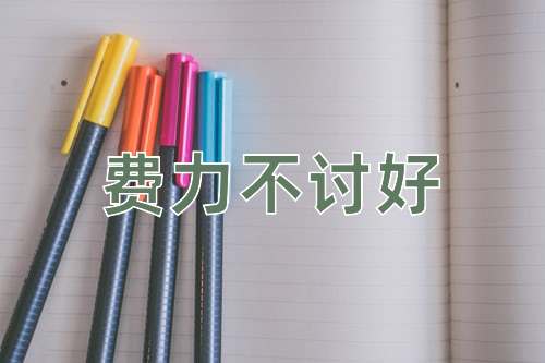 成语费力不讨好