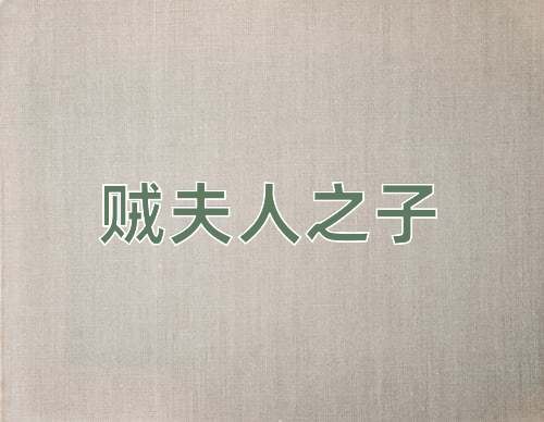 成语贼夫人之子