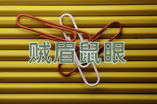 成语贼眉鼠眼