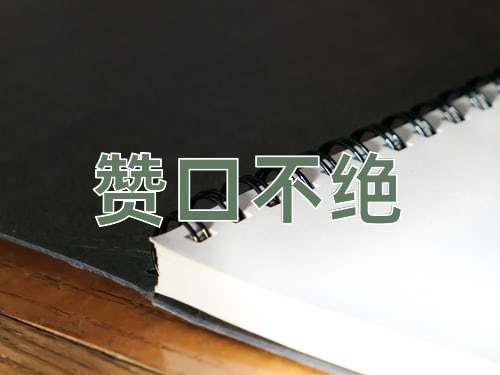 成语赞口不绝